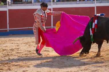 Boğa güreşindeki performansı sırasında bir İspanyol boğa güreşçisi