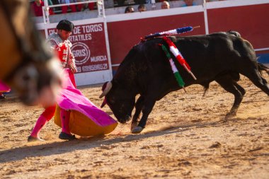 Boğa güreşindeki performansı sırasında bir İspanyol boğa güreşçisi