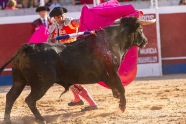 Boğa güreşindeki performansı sırasında bir İspanyol boğa güreşçisi