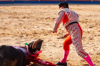 Boğa güreşindeki performansı sırasında bir İspanyol boğa güreşçisi