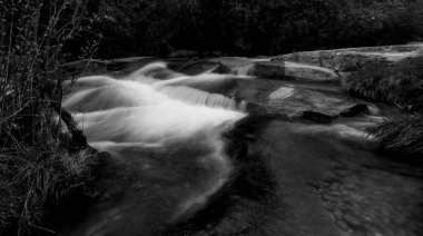 Ormandaki bir nehirde siyah ve beyaz şelale