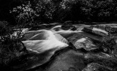 Ormanda güzel bir şelale
