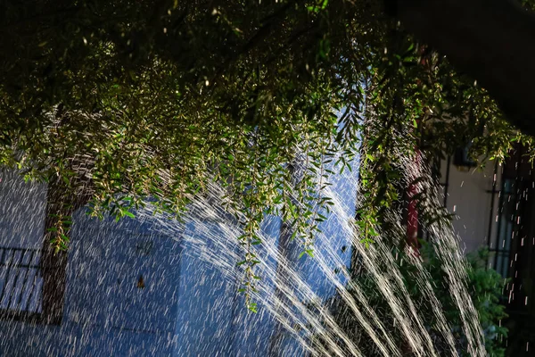 花园用自动洒水器浇灌 — 图库照片
