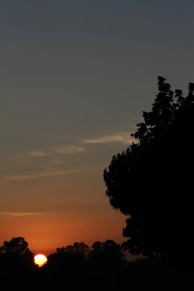 Toller Sonnenuntergang Wald — Stockfoto