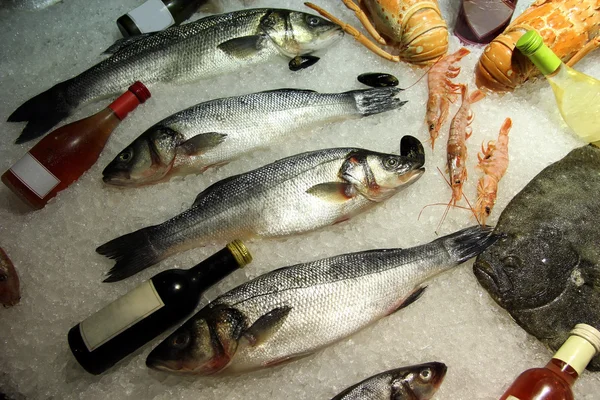 Exibição de frutos do mar frescos no gelo — Fotografia de Stock