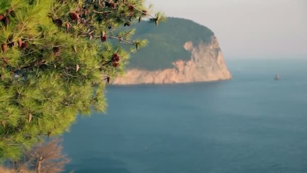 Zomer zee kust panorama — Stockvideo