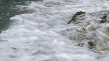 Dalgalar kayalara karşı smashing