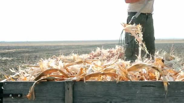 Agricultor en el trabajo — Vídeo de stock