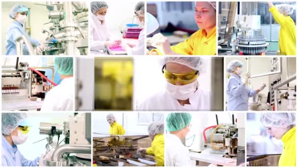 Pharmaceutical Workers — Stock Video