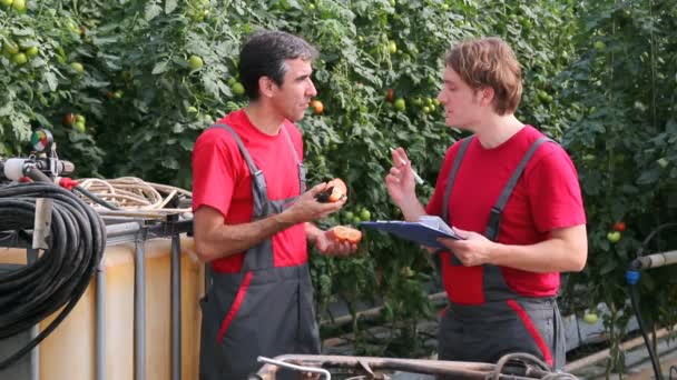 Quality Control Team in Greenhouse — Stock Video