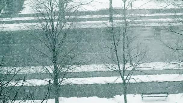 冬天的街景 — 图库视频影像