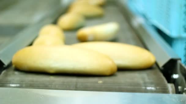 Fabricación de pan comercial - Trabajador de panadería — Vídeos de Stock