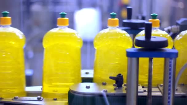 Bottiglie PET - Detergente per lavastoviglie liquide — Video Stock