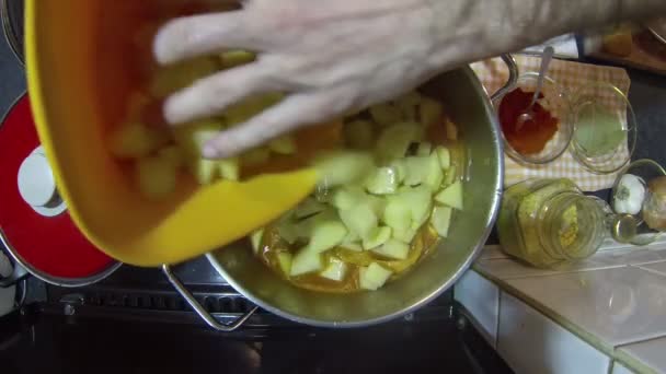 Guisado de frango com batata — Vídeo de Stock