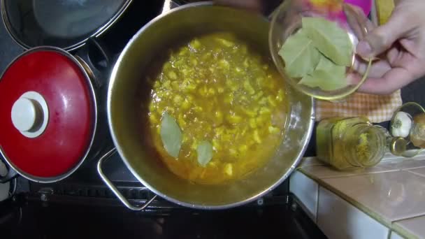 Chef-kok toevoegen laurier tot kip stew — Stockvideo