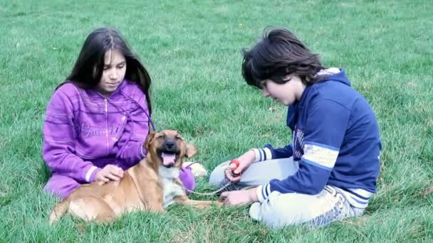 Jongen en meisje met hond — Stockvideo