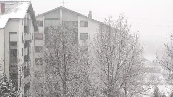 Κτίρια με λευκό χιονόπτωσης — Αρχείο Βίντεο