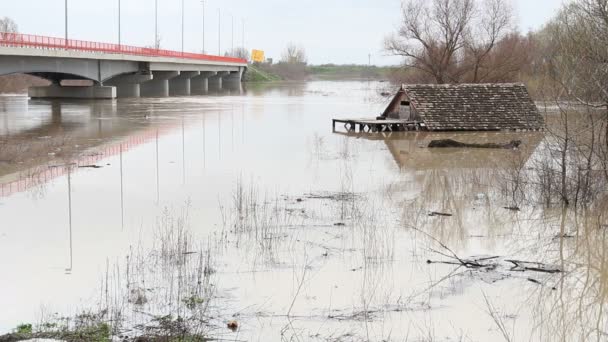 Lente overstromingen — Stockvideo