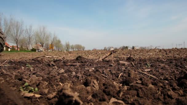 Preparazione Terra per la semina a SpringTrattore che lavora sul campo. HD1080p — Video Stock