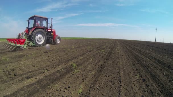 Tractor Sowing the Field — Stock Video