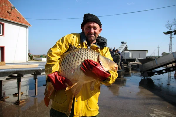 Pescador sosteniendo un pez grande — Foto de Stock