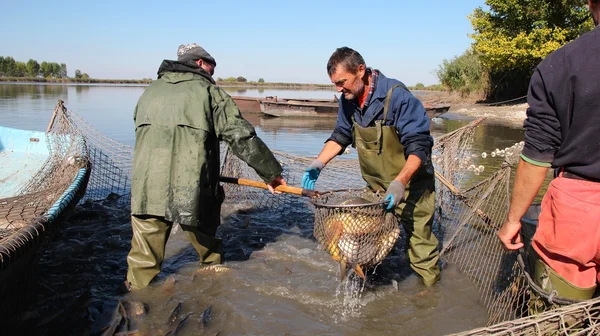 Fishermen at Work — Stock Image Fishermen at Work Stock Picture