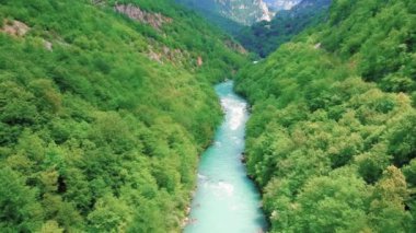 Muhteşem Tara Nehri Kanyonu 'ndan akan Whitewater Nehri Hava Aracı Manzarası. Ormanla çevrili Dağ Nehri 'nden İHA iniyor..
