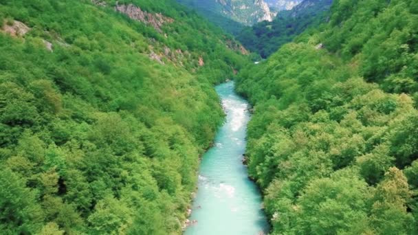 Whitewater Rivier Loopt Door Prachtige Tara River Canyon Luchtdrone Point — Stockvideo