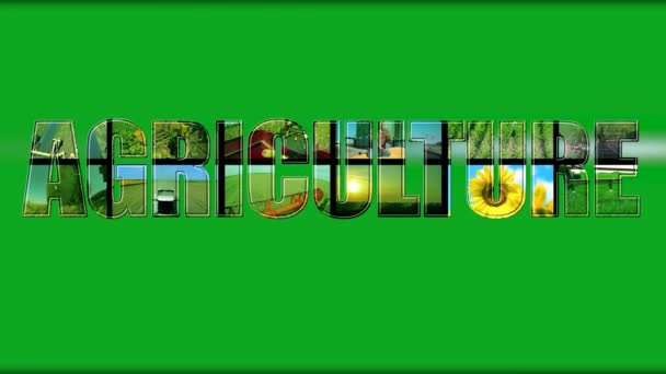 Agriculture Animated Text Green Background Inglés Medios Producción Agrícola Video — Vídeos de Stock