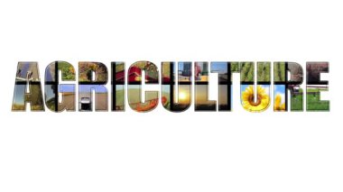 Tarım - Beyaz Arkaplanda Animasyon Metni. Tarım Üretim Medya Duvarı. Tarım ve Tarım İşleri.