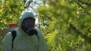 Kişisel Koruma Aletleri Bahçesinde, Sırt Çantası Atomizer Spreyle Çiftçi - Uzaklaş. Bahar 'da Meyve Yetiştirici Armut Bahçesi' ne Kimyasallar Söndürür.