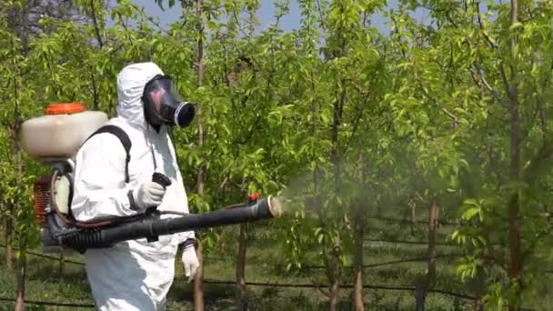 Man Disposable Full Body Coveralls Gas Mask Spraying Orchard Την — Αρχείο Βίντεο