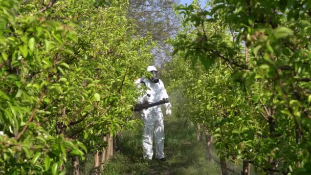 Coltivatore Frutta Tuta Protettiva Con Maschera Gas Spruzzare Frutteto Primavera — Video Stock