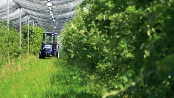Landwirt Fährt Traktor Durch Einen Apfelgarten Und Sprüht Bäume Mit — Stockvideo