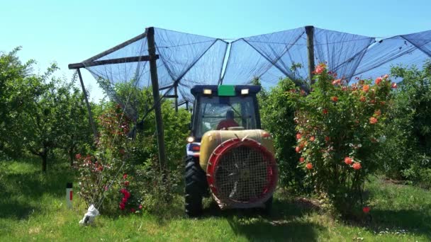 Traktör Ekin Koruma Ağı Ile Kaplı Elma Bahçesi Spreyliyor Çiftçi — Stok video