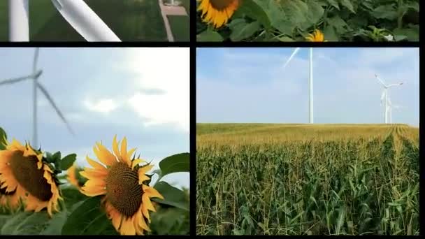 Энергия Ветра Возобновляемые Источники Энергии Ветряная Электростанция Вид Воздуха Гигантскую — стоковое видео