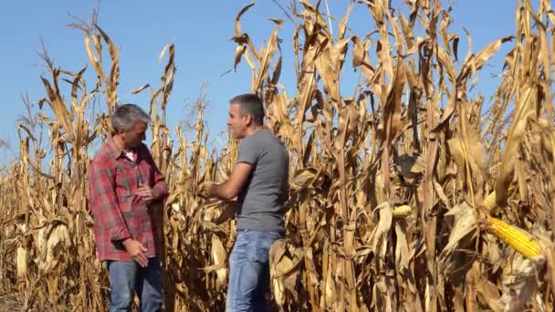 Dwóch Farmerów Robiących Selfie Polu Kukurydzy Farmerzy Rozmawiają Jakości Dojrzałej — Wideo stockowe