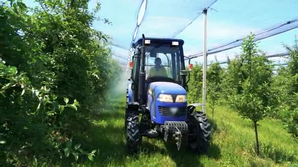 Farmer Driving Tractor Spraying Apple Orchard Covered Hail Protection Nets — Video Stock