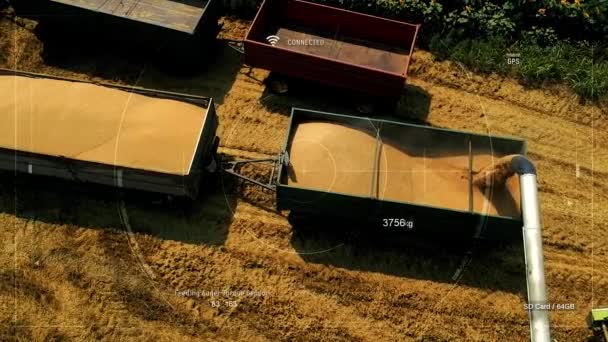 Tecnologias Agricultura Inteligente Agricultura Precisão Drone Agrícola Com Aplicação Agricultura — Vídeo de Stock
