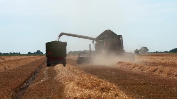 穀物カートへの移動中のアンロードを組み合わせる 小麦の収穫2022が始まります 農業分野で活躍する近代的なコンバインド ハーベスター 小麦をアンロードする — ストック動画