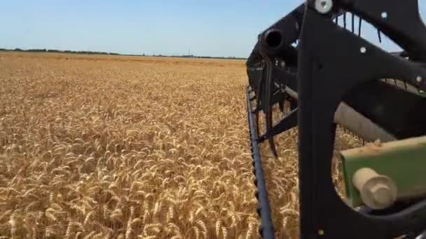 コンバイン ハーベスターのリールは小麦の耳をカット スローモーション 農業分野で活躍する近代的なコンバインド ハーベスター 世界のコムギ価格の上昇 — ストック動画