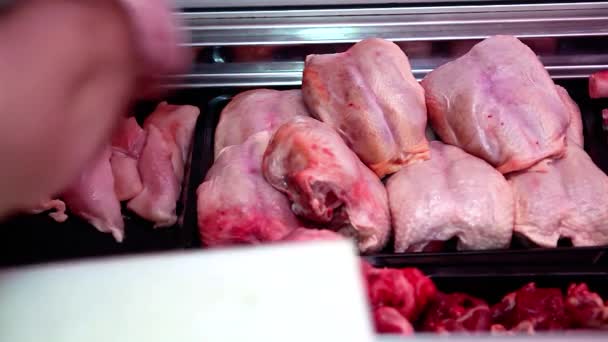 冷蔵スーパーのディスプレイケースで新鮮な鶏肉 肉のディスプレイを配置する肉屋 肉屋で肉を売る — ストック動画