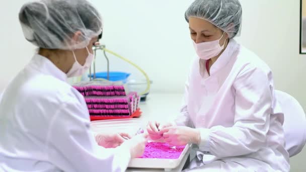 制药行业质量控制技师检测药丸 在实验室工作的两名从事保护工作的女制药工人 药物的实验室监测 — 图库视频影像