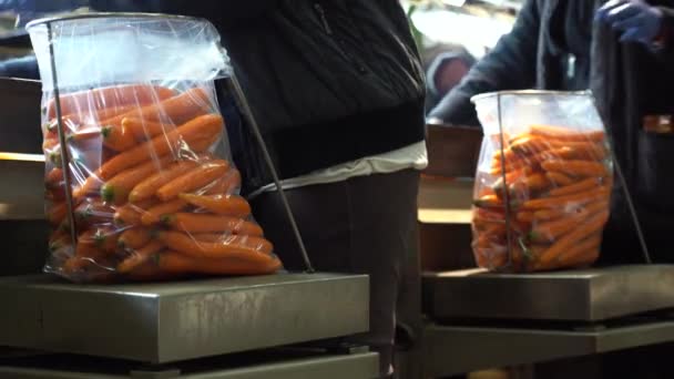 Carrot Weighing Packaging Food Processing Plant Women Packing Carrots Reusable — Stock Video