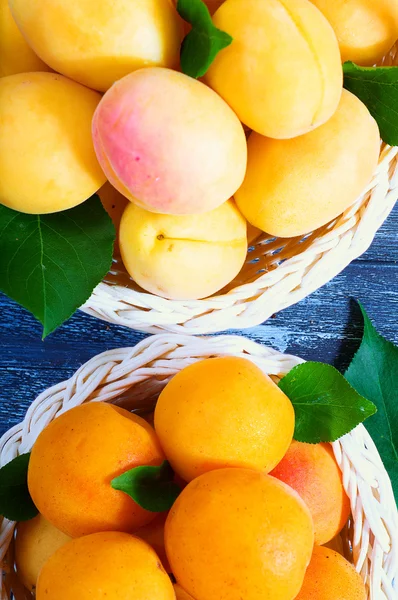 Ripe juicy apricots — Stock Photo, Image