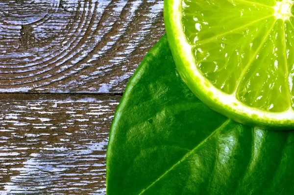 Lime slices 3 — Stock Photo, Image