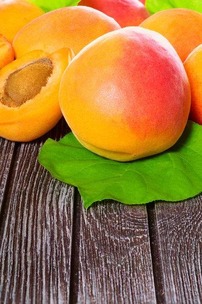 Fresh juicy apricots — Stock Photo, Image