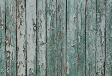 Eski usul eski ahşap. Yüzey tasarımı. Beyaz arka planda Rustik yakın plan. Ahşap desen soyut renk arkaplanı.