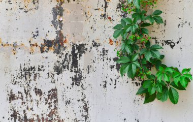 Karanlık arka planda soyut yakın plan. Tasarım elemanı. Grunge metal arka planı, paslı çelik dokusu. Duvarda çizikler var. Eski kirli yüzey. Metal rengi.