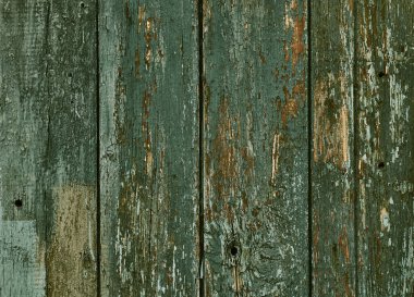 Eski usul eski ahşap. Yüzey tasarımı. Beyaz arka planda Rustik yakın plan. Ahşap desen soyut renk arkaplanı.